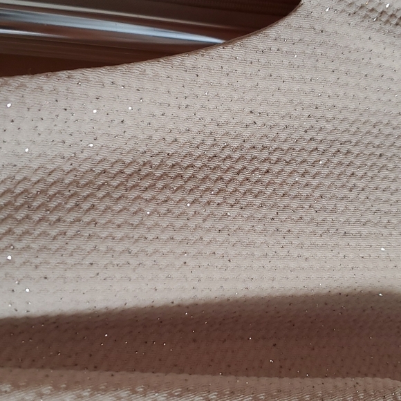 New dress for night out size 14 petite beige with silver highlights jewel collar - Picture 4 of 5